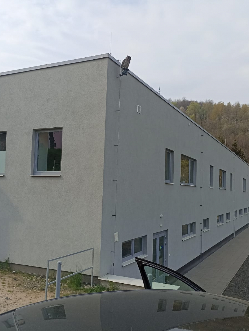 Realizace stavebního projektu – sportovní objekt